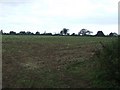 Harvested field in BS48 3SW
