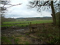 Farmland near Ashridge Copse in SP6 3HR