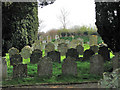 All Saints church - churchyard in NR13 6RS