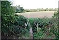 Footbridge across a small stream in TN3 0SP