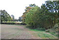 Footpath along the field edge in TN3 0SP
