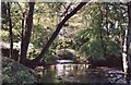 Bridge over Black Brook in LL13 7QW