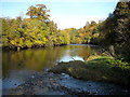 River Clyde With Autumn Colours in ML8 5RF