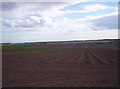 Fields Looking South from near Mains of Carmyllie in DD11 2RJ