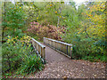 The Footbridge, Stockgrove Park in LU7 0BB