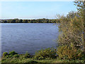 Lagoon near Gunthorpe in NG14 7ES