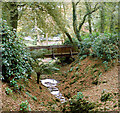 Footbridge on the woodland walk, Tregenna Estate in TR26 2BD