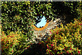 'Hole in the wall', sub-tropical garden, Tregenna Estate in TR26 2BD