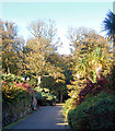 Approaching the woodland walk, Tregenna Estate in TR26 2BD