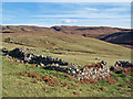 Ruined house, Lorgill in IV55 8WX