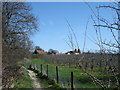 Footpath and apple orchard Icklesham East Sussex in TN36 4WL