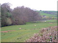 Valley near Exminster in EX6 8AY