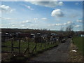 Allotment Gardens, Heron Way in BB5 3TD
