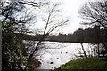 The Lake at Gnoll Country Park in SA11 3HP