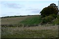 Farmland near Old Warren in OX12 9NN