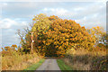 Looking east along a lane in autumnal afternoon light in CV23 8HN
