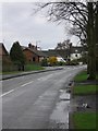 Tree-lined road in Elford in B79 9BU