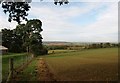 View from Ratleigh Wood in DT9 4PZ