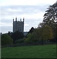 Withington church tower from across a meadow. in GL54 4BS