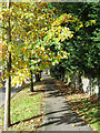 Footpath, Withdean Avenue in BN3 6PR