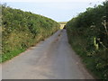 Lane heading down to Hatch in TQ7 4AJ