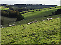 Pastures, Rendcomb in GL7 7HD