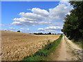 Farm track, Rendcomb in GL7 7DG
