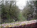 Trackbed of old railway in SP11 6QU