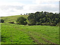 The valley of the River Irthing north of Upper Denton in Upper Denton