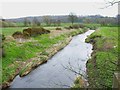 River Browney in DH1 3SS