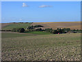 Farmland, West Ilsley in RG20 7AT