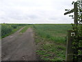 Footpath from Tuxford in NG22 0JZ