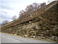 A93 emerging from the Cairnwell Pass in AB35 5YQ