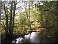 River Bovey above Parke in TQ13 9LH