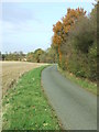 Country Road in IP28 6RN