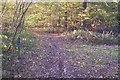 Track and Bridleway junction in Bossenden Wood in ME13 9LR