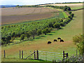 Farmland, Pewsey Hill in SN9 6NJ