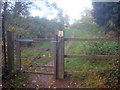 Public footpath in Newstead Priory Wood - 1 in NG15 9HD