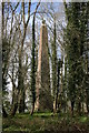 Weatherbury Castle obelisk in DT11 0JS