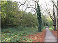 Woodland path on Barnes Common in SW15 5LZ