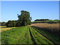 Farmland and footpath, West Woodhay in RG20 0BP