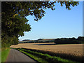 Farmland and road, West Woodhay in RG20 0BT