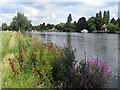 The River Thames, Cookham in SL8 5DP