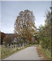 Old military road entering Braemar from Glen Clunie in AB35 5YF