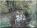 River Mimram in Digswell in AL6 0AS