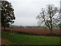 Autumn ploughsoil south of Peaton in SY8 2AN