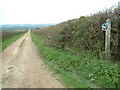 Bridleway, Dorset in DT11 9JP