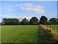Pasture, Ashford Hill in Ashford Hill