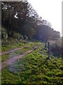 Track to Church Farm, Harthill in CH3 9HQ