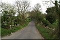 Lane from Boughton Street to Staplestreet in ME13 9UA